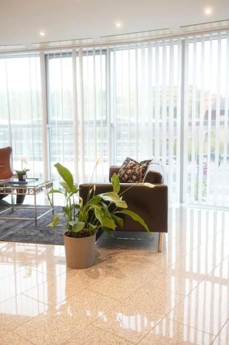 Exklusive Stadtoase Design-Wohnung - Panoramablick Koblenz  Bagian luar foto